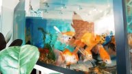 Рекламный ролик для кафе "Салатный дворик"