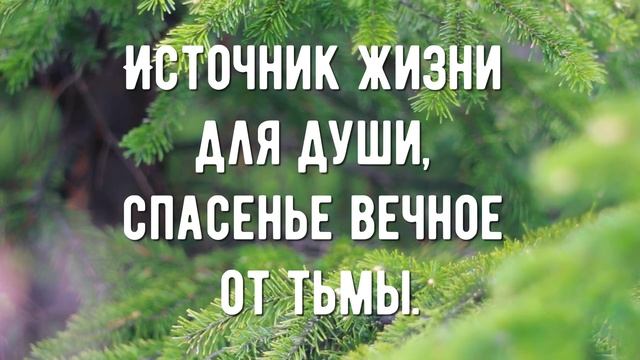 Счастье жизь свою отдать Христу - минус мой