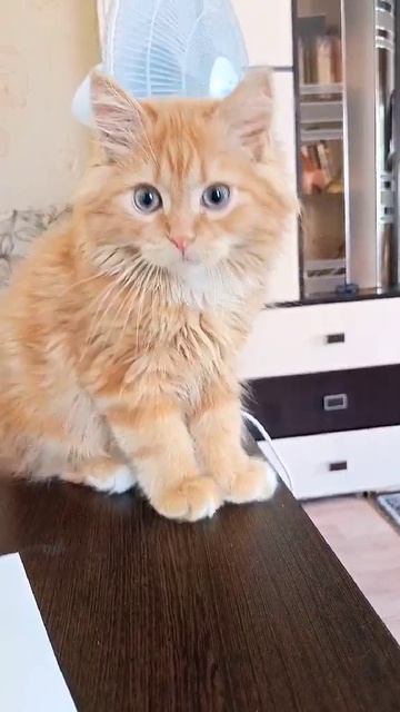 1000002092.mp4