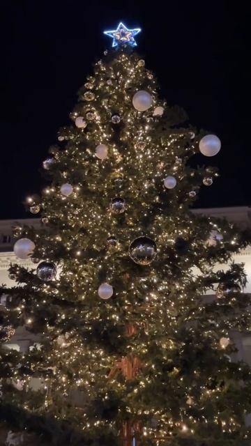 Wonderful Christmas tree in Aix en Provence #christmastree #aixenprovence #winter #christmaslights