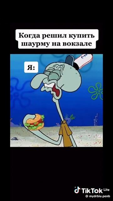 это кто не новидет шаурму 🌯🌯