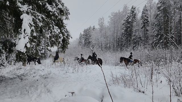 Красота