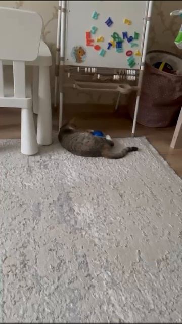 1000283996.mp4