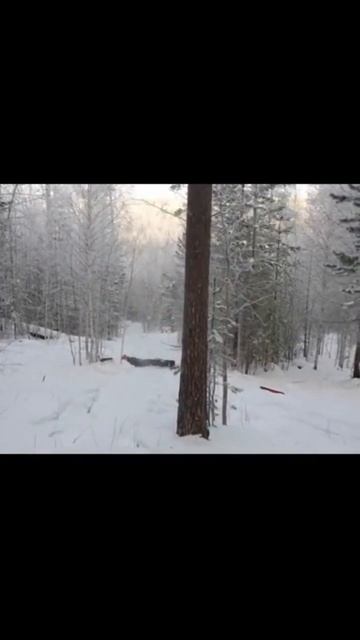 My bad try is frontside 180 in the forest 2022 #fail #falling #fun #music #snowboarding