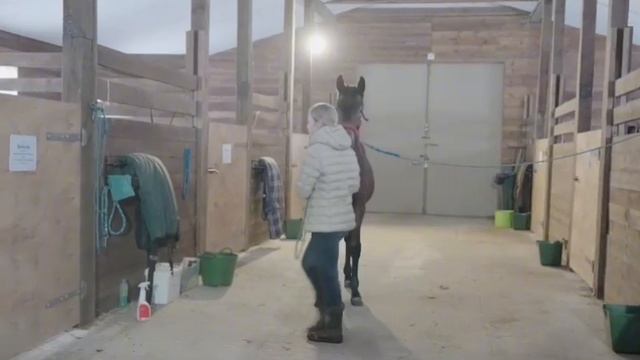 Интеллигентные молодые люди