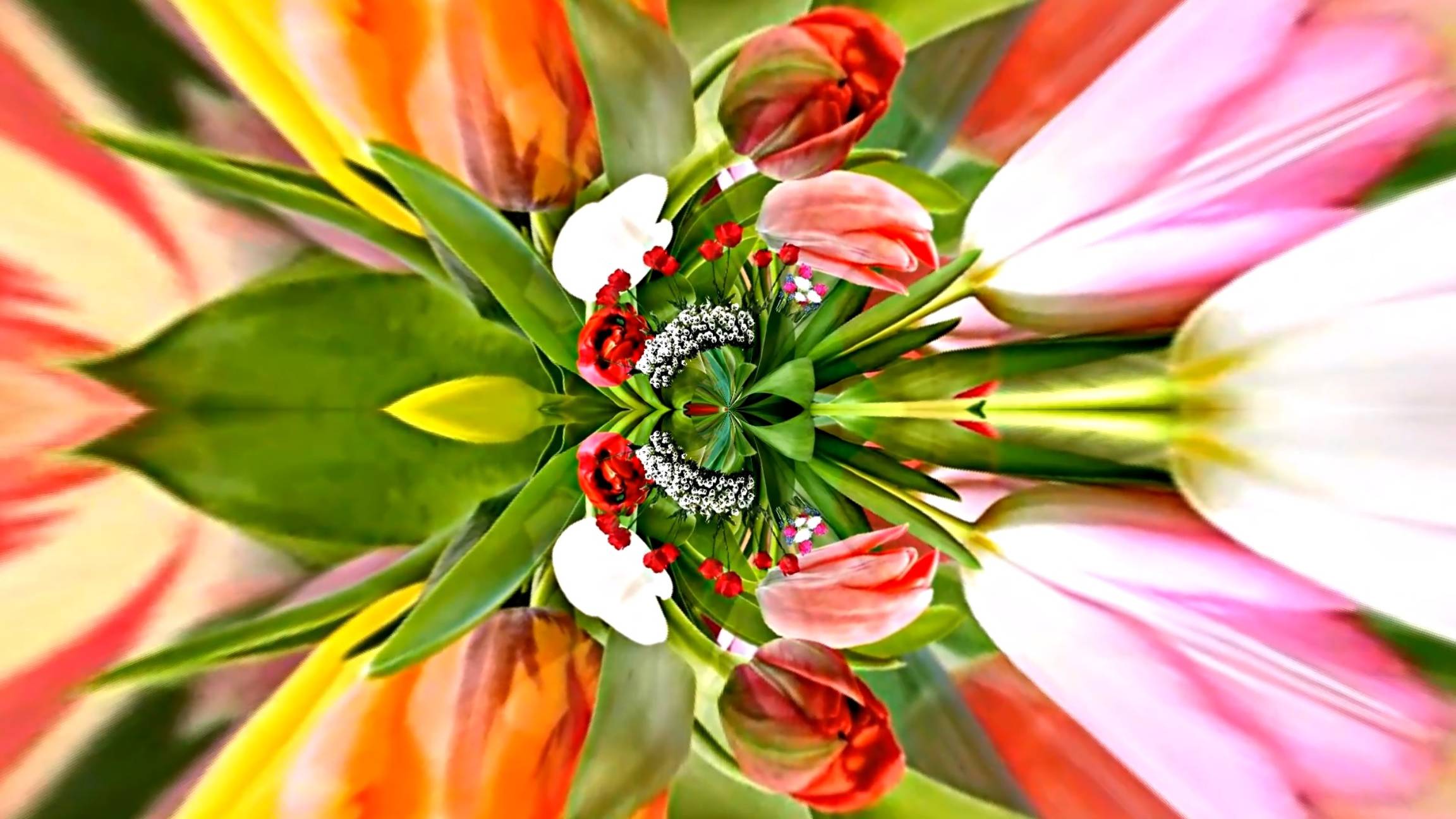 Татьянин день!!! Поздравление с Праздником 4 от Киностудии Мудрого Кота Тимофея!!!