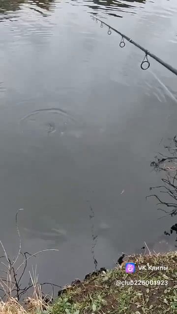 1000008319.mp4