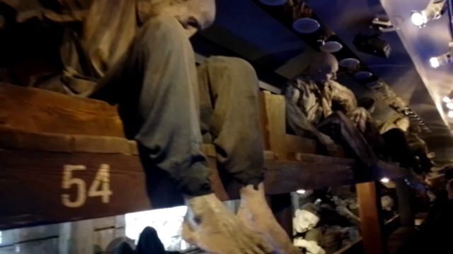 "Поезд Победы"
23.01.2025
Тихвин.