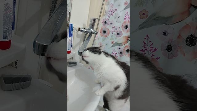 1000004521.mp4