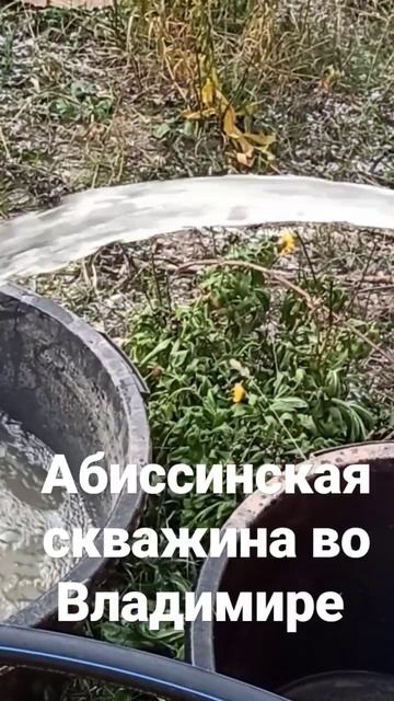 Абиссинка во Владимире. Скважина на воду.