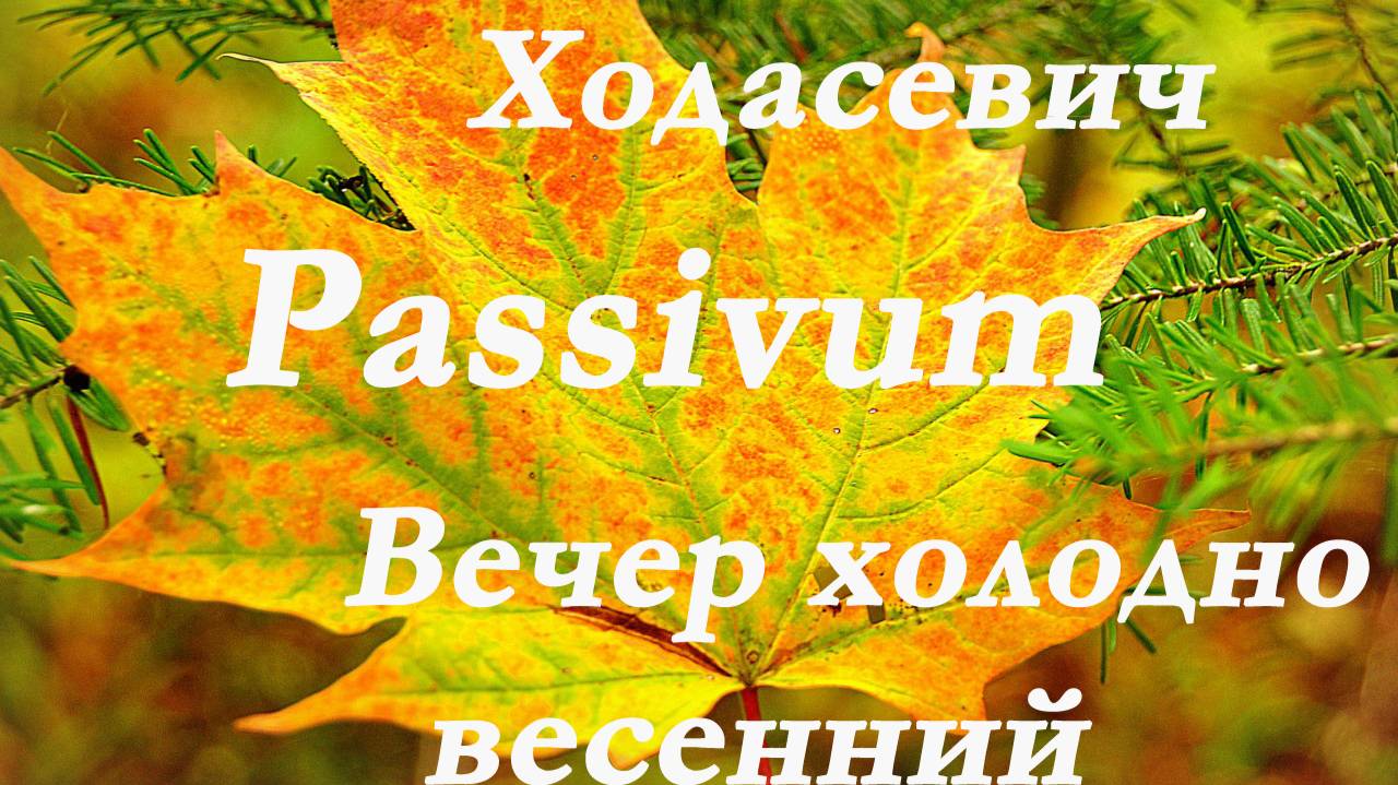 Владислав Ходасевич - Passivum. Вечер холодно весенний.Стихи.