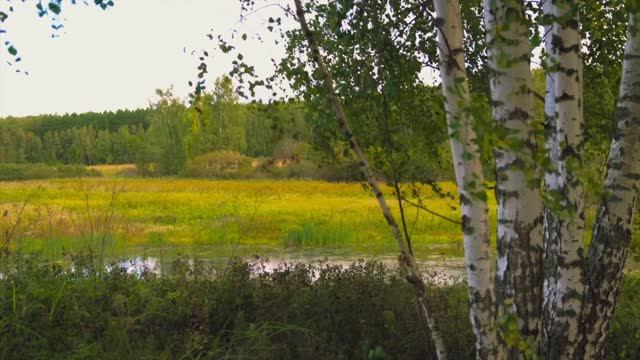 Железня Заокский район Тульской области 90