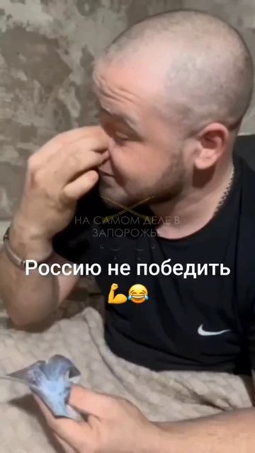 📍Запорожское направление , наши получили гуманитарную помощь 🤣🤣🤣