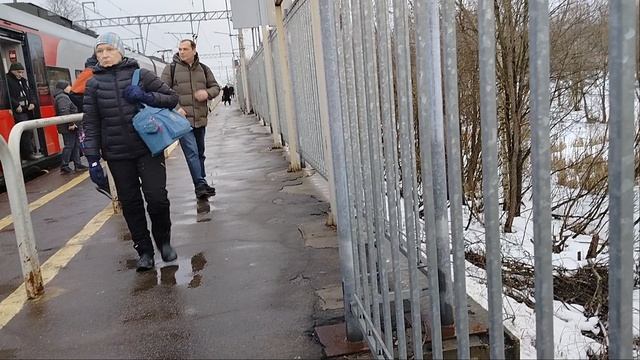 Двойной Электропоезд Ласточка ЭС2Г-007+ЭС2Г-015 Сообщением Санкт-Петербург-Тосно Поповка