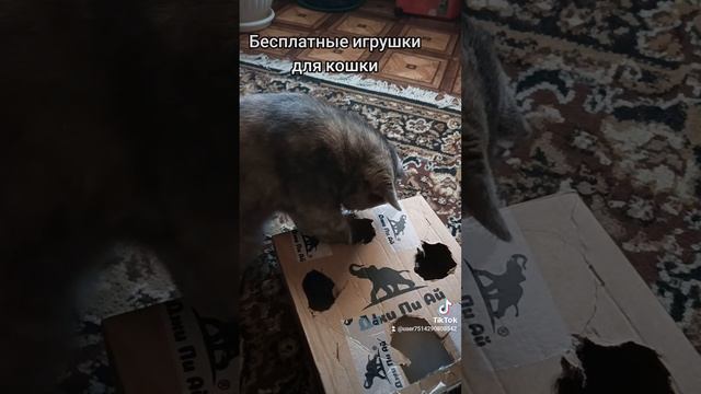 Бесплатные игрушки для кошки
