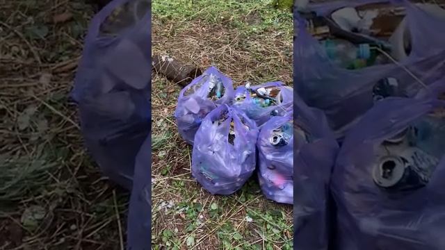 Быть полезным Мирозданию.