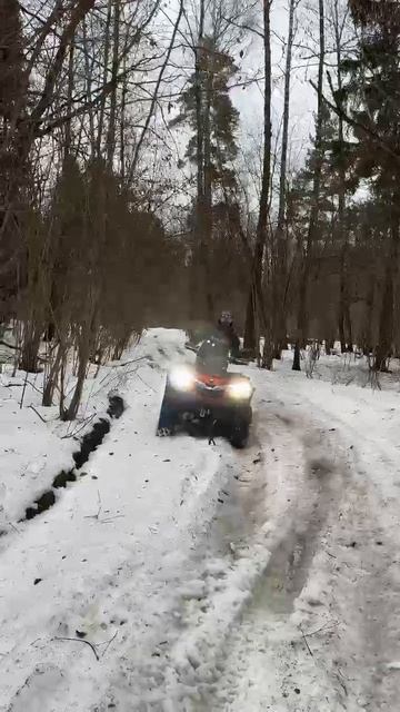 ОН ТАКОЙ ОДИН SHARMAX 1100  #motosnab #vdk #владивосток #moto #atv #clips #clip #атв #4x4 #новости