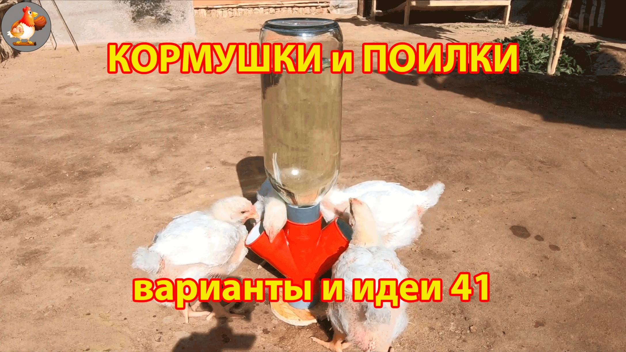 Кормушки и поилки для кур своими руками 41 🪚✂️ Пошаговая инструкция как сделать 🐔 🐓❣️
