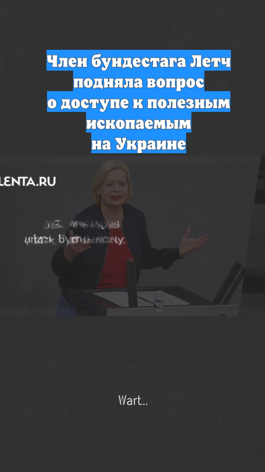 Член бундестага Летч подняла вопрос о доступе к полезным ископаемым на Украине