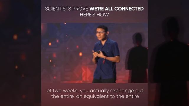 Science Proves We Are All Connected