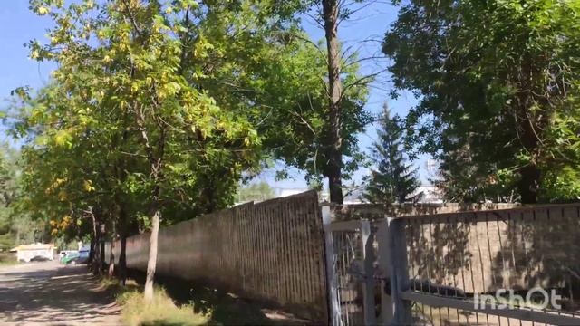 Выполняю давние хотелки/Много прогулок по магазинам/В кино с подругой/Котики и зайчики от мамы ❤️