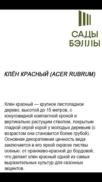 Топ 5