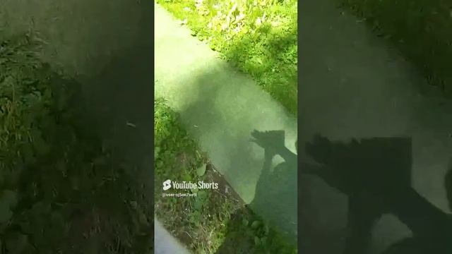 ужассс👀.mp4