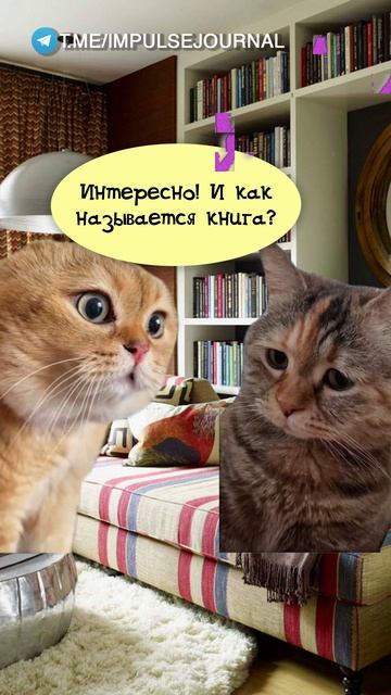 Почитаем #мыкотики #вмем #разговор #анекдот #шутки #животные #юмор #кошки #смешное #мемы #скетчи