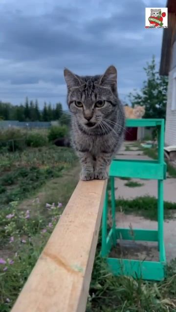 Мама мамочка Любимая моя 😽❤️😻