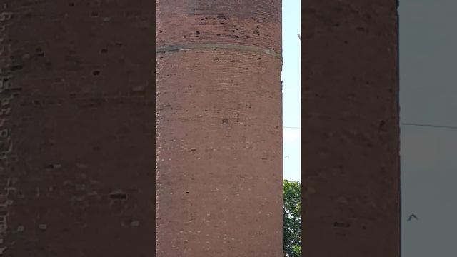 Ростовская обл.
