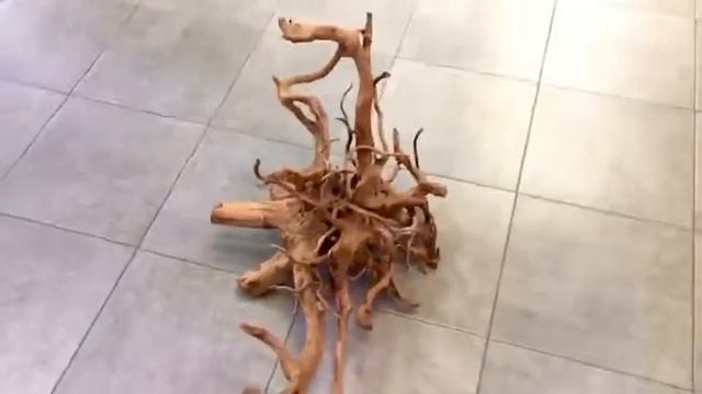 Коряга аквариумная. «Корень Азалии»