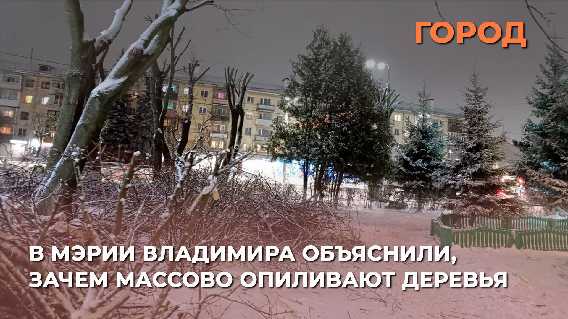В мэрии Владимира объяснили, зачем массово опиливают деревья