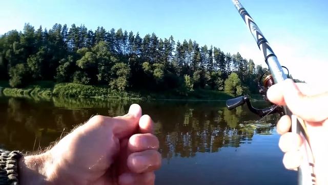 Ловля в проводку на пшеницу