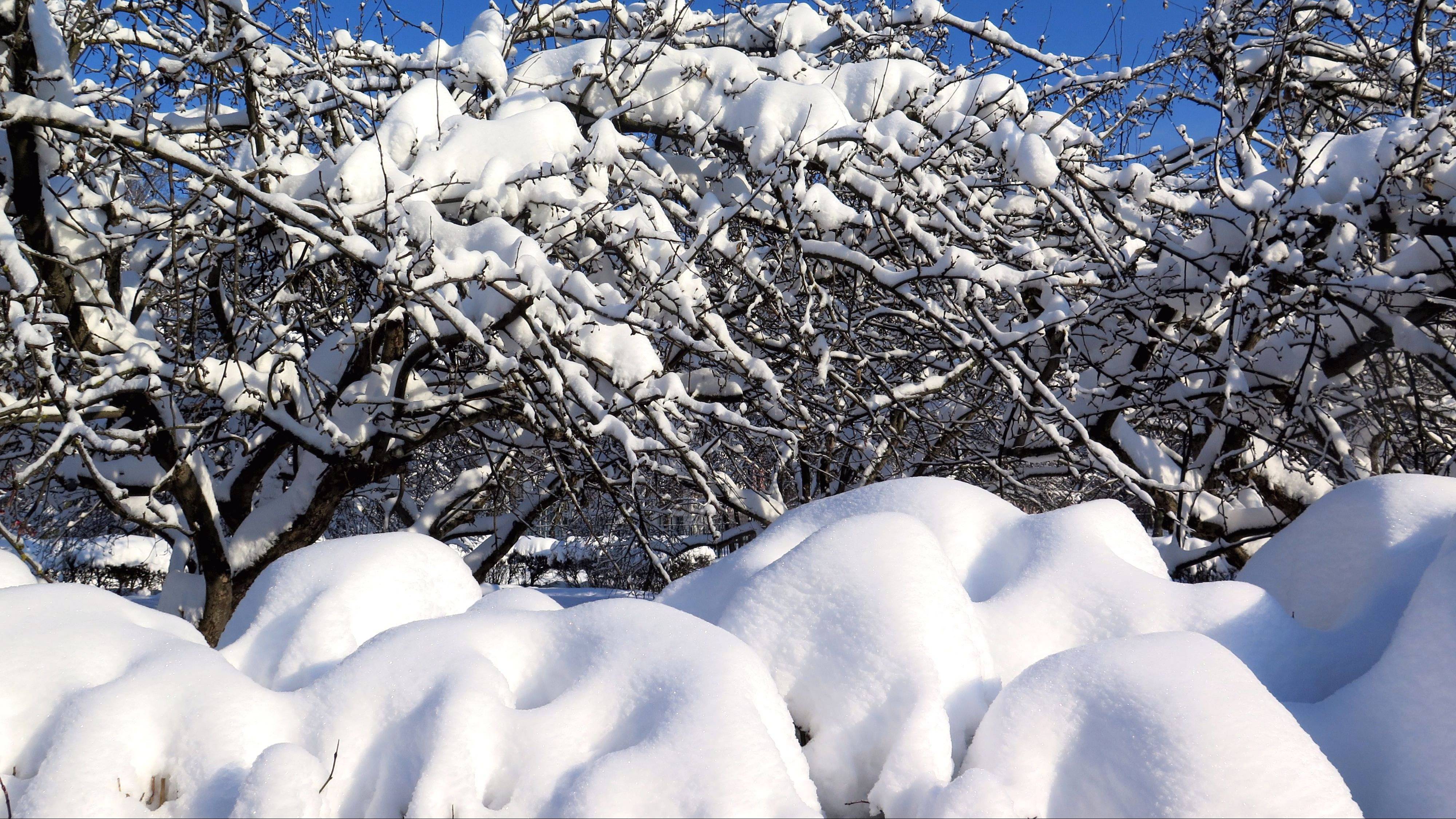 СНЕЖНАЯ ЗИМА 2018