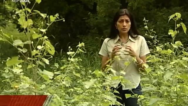 Born Wild: State of our mega species (Aired: September 2004)
