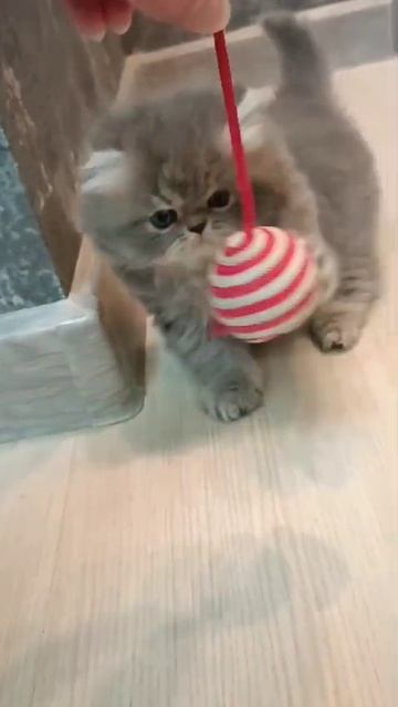 1000002276.mp4
