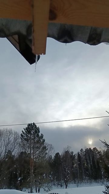 24 января 2025 г. Наблюдение для рисования.