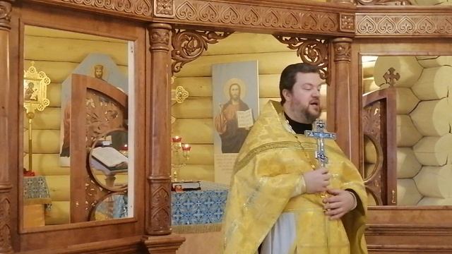 Дикость и жестокость этого мира