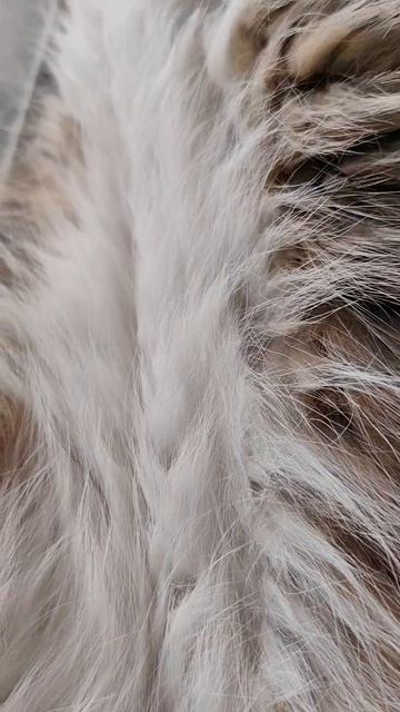 😍😍😍😍😍