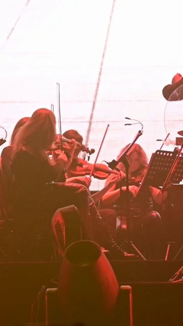 TODD/Северный флот – Король и Шут при участии SIGMA ORCHESTRA