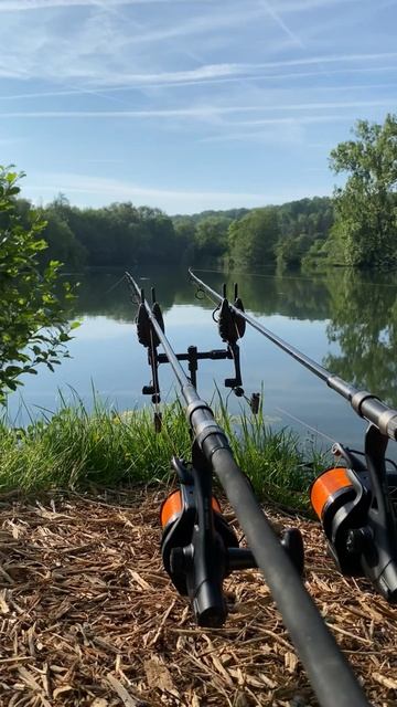 Вот это ПОКЛЕВКА! Бешеный КАРП!