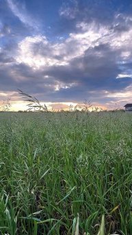 video-output-ABD947E7-2BE2-4AC5-9447-455A7D9D4E29