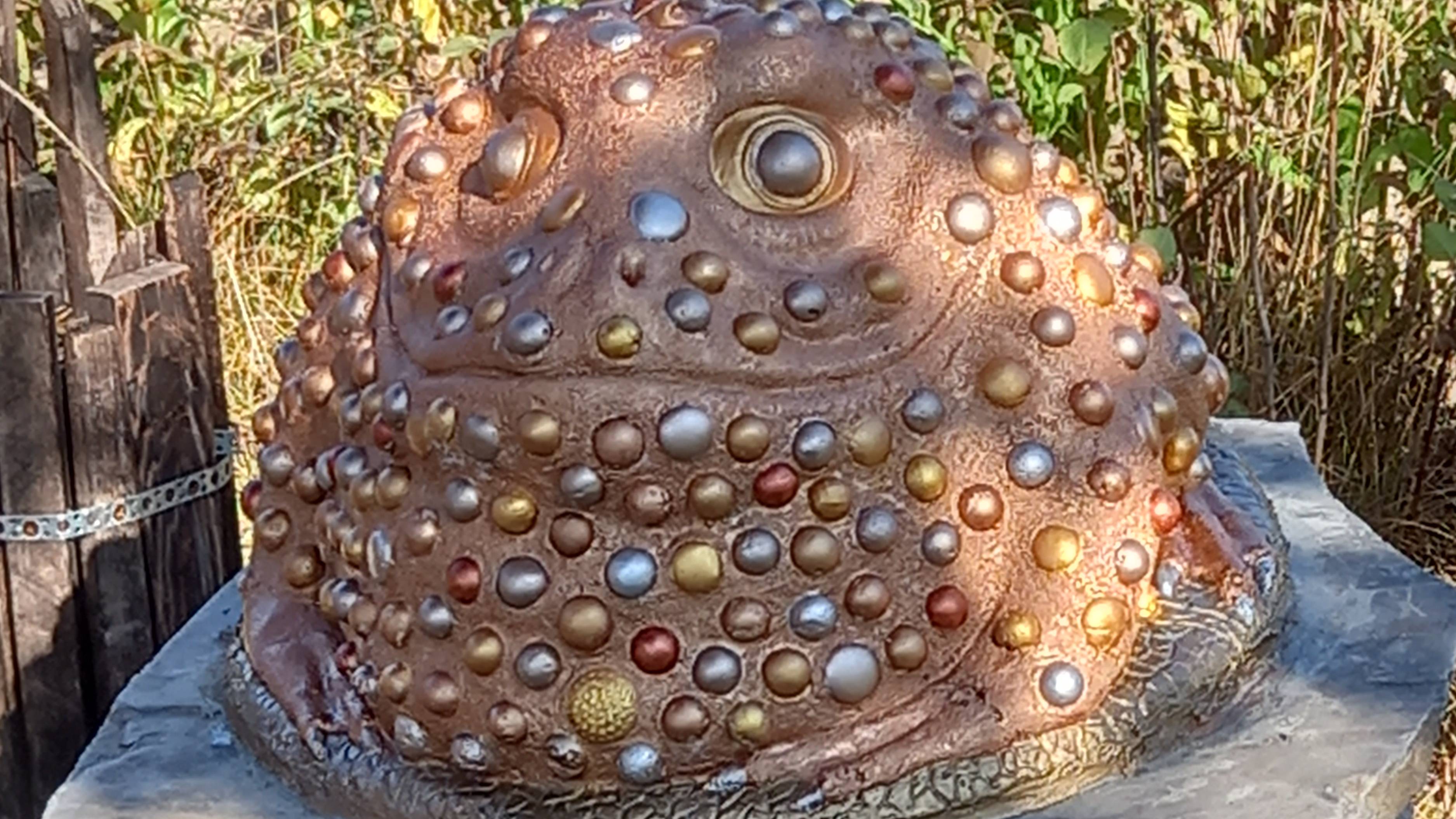 Десна лето 2024