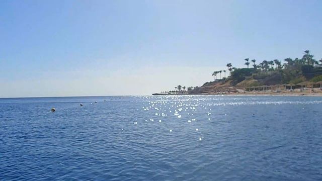 Бухта Coral Bay Шарм эль Шейх