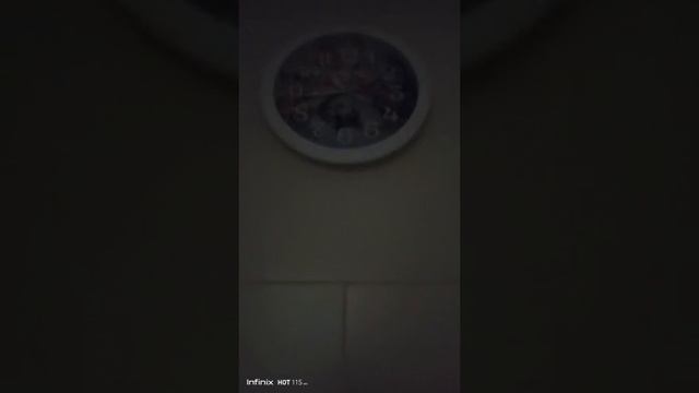 24.01.25/10:42 Пилорама