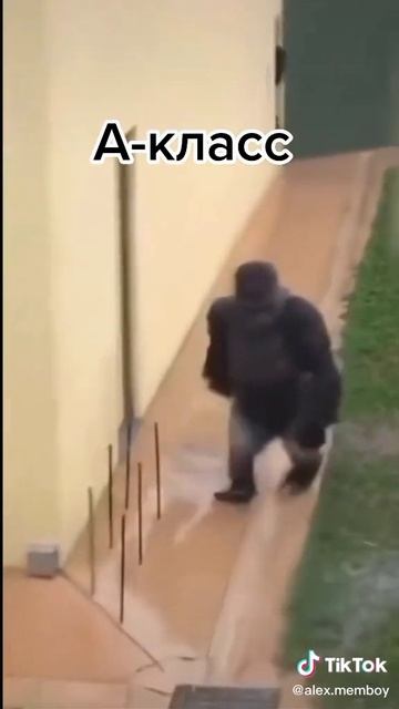 как классы идут в столовку
