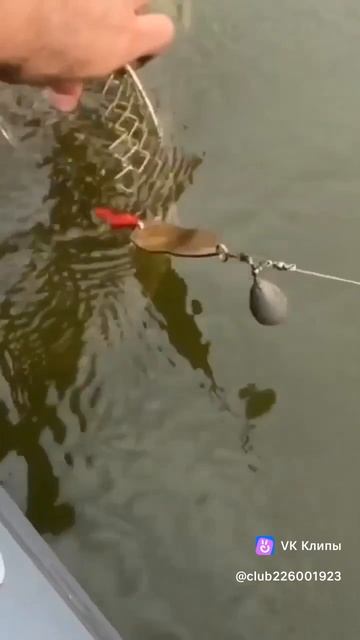1000008324.mp4