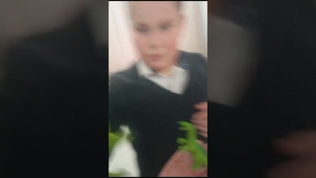 распоковка акул