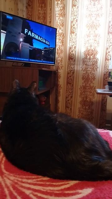 ДА ЗАДОЛБАЛ ВАШ КОРОНАВИРУС