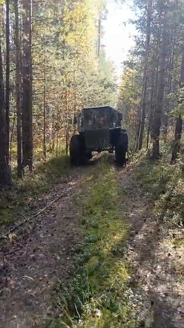 болотоход в лесу